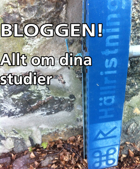Hällristningar