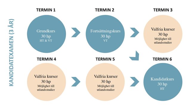 programme structure