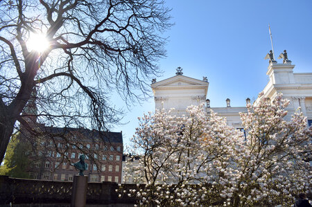 Universitetshuset i Lund