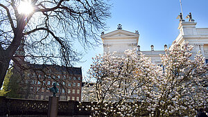 Universitetshuset