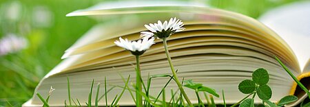 Book in grass