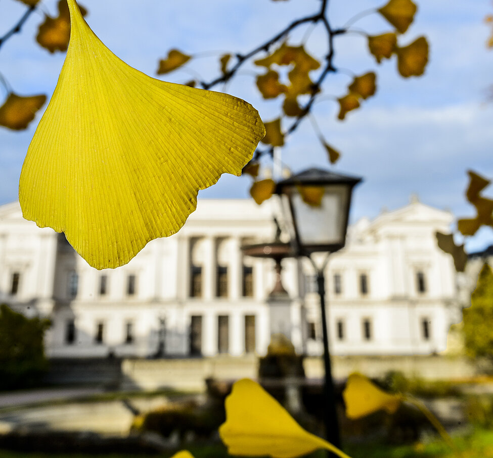 Universitetshuset