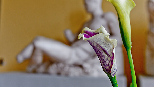 Staty bakom en blomma