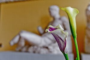 Blommor i fokus med grekisk staty i suddad bakgrund