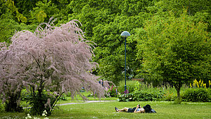 sommar Lund 