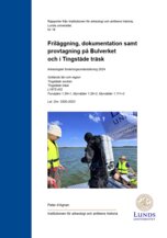 Friläggning, dokumentation samt provtagning på Bulverket och i Tingstäde träsk